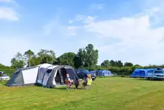 Electric grass tent pitches Electric grass tent pitches