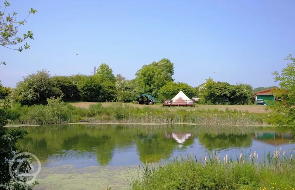 Stonebridge Fishing Lakes in Northallerton, North Yorkshire book