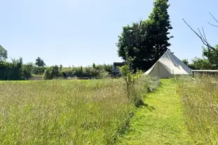 Pittaford Farm Camping, Kingsbridge, Devon