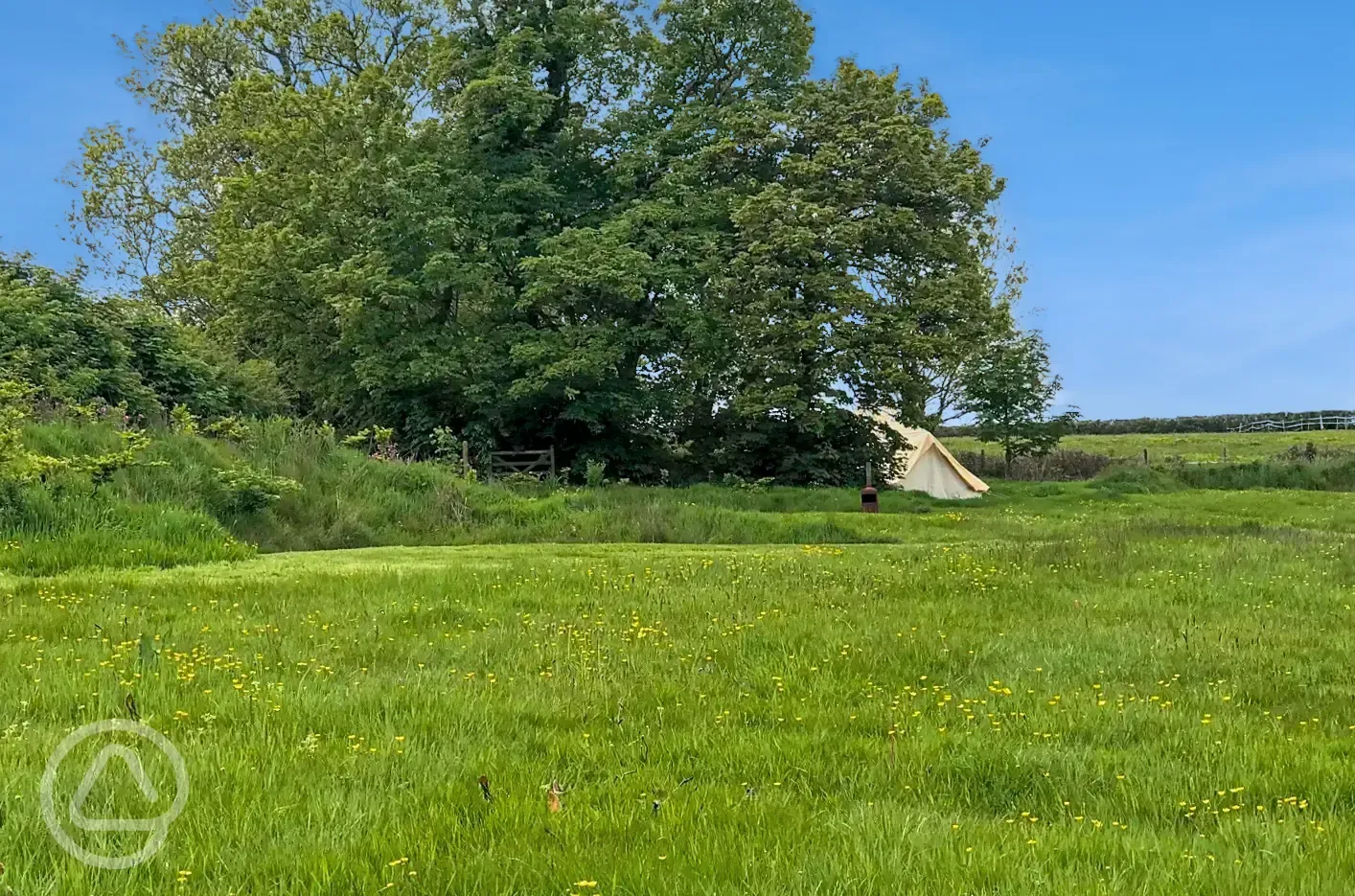 Campion non electric grass tent pitch