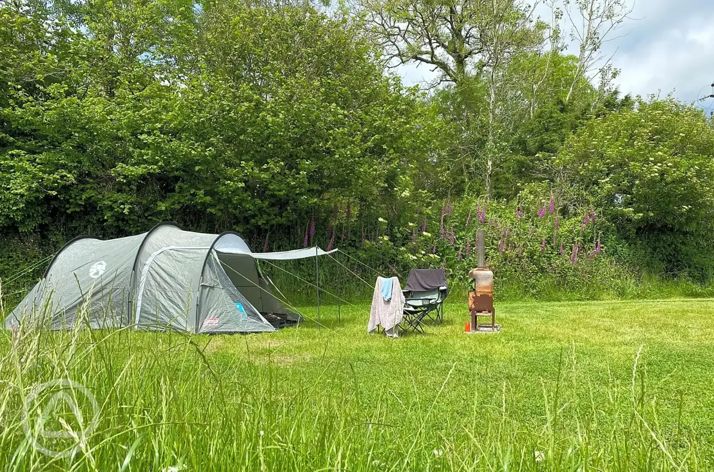 Clover non electric grass tent pitch