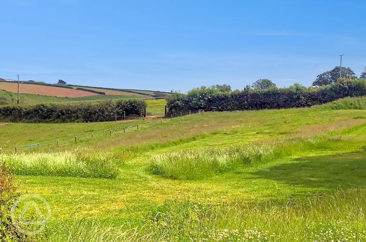 Buttercup non electric grass tent pitch
