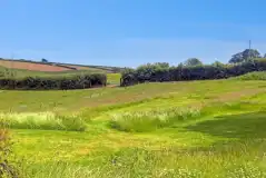 Buttercup non electric grass tent pitch