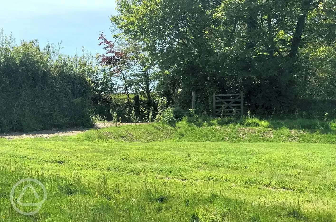 Sycamore non electric grass campervan pitch