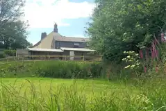 Foxglove (12m x 8m) non electric grass tent pitch next to the facility block