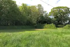 Hedgehog non electric grass tent pitch