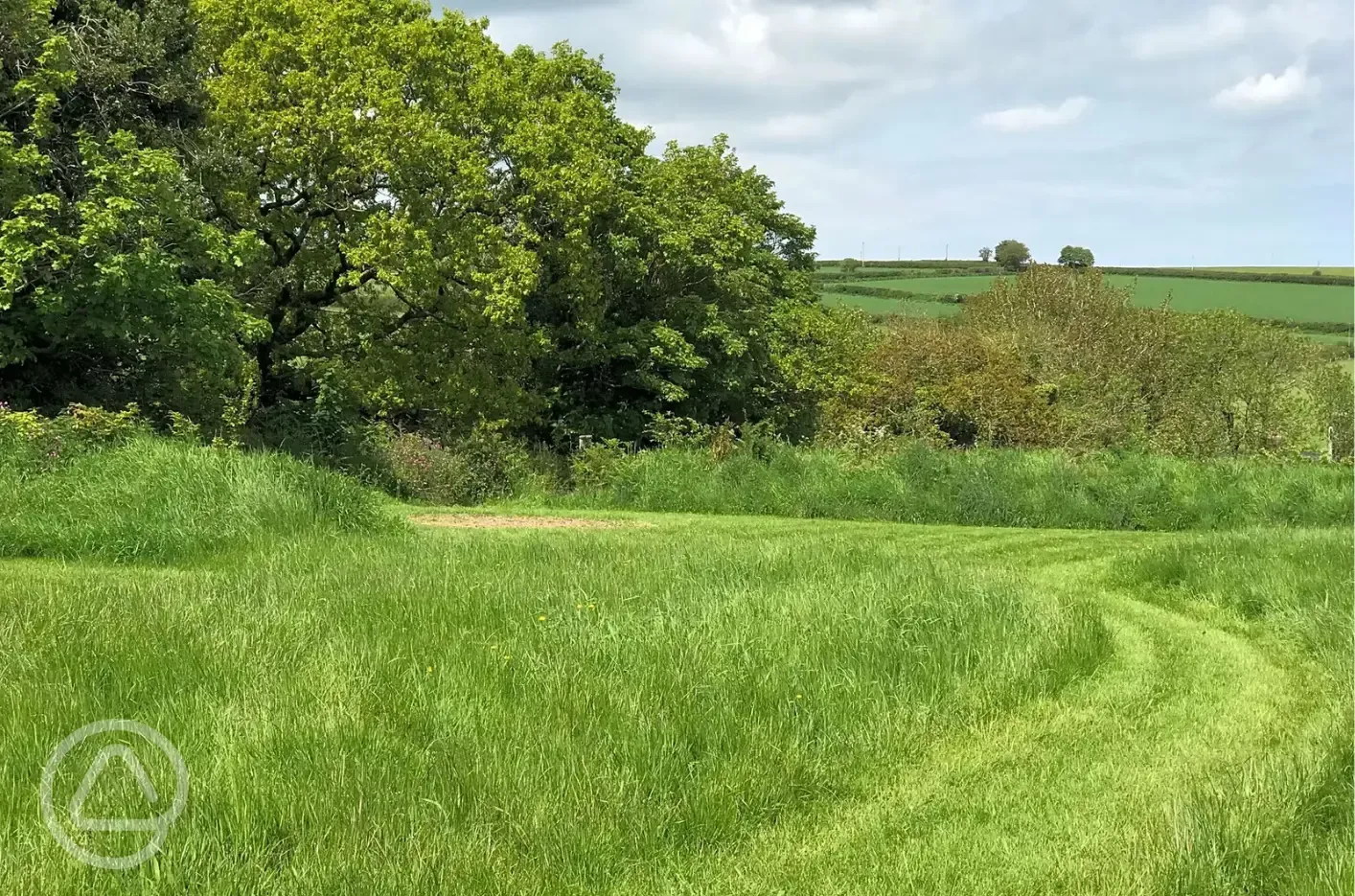 Mole non electric grass tent pitch