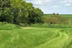 Mole (18m x 10m) non electric grass tent pitch