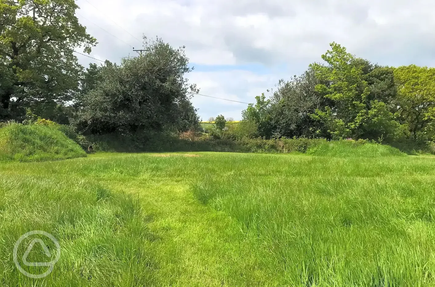 Owl non electric grass tent pitch