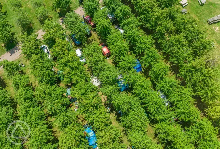 Birdseye view of the orchard pitches
