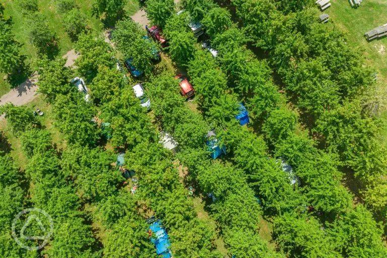 Aerial of the orchard pitches