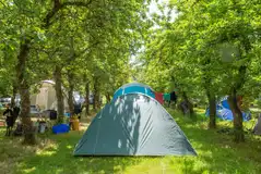 Non electric grass pitches