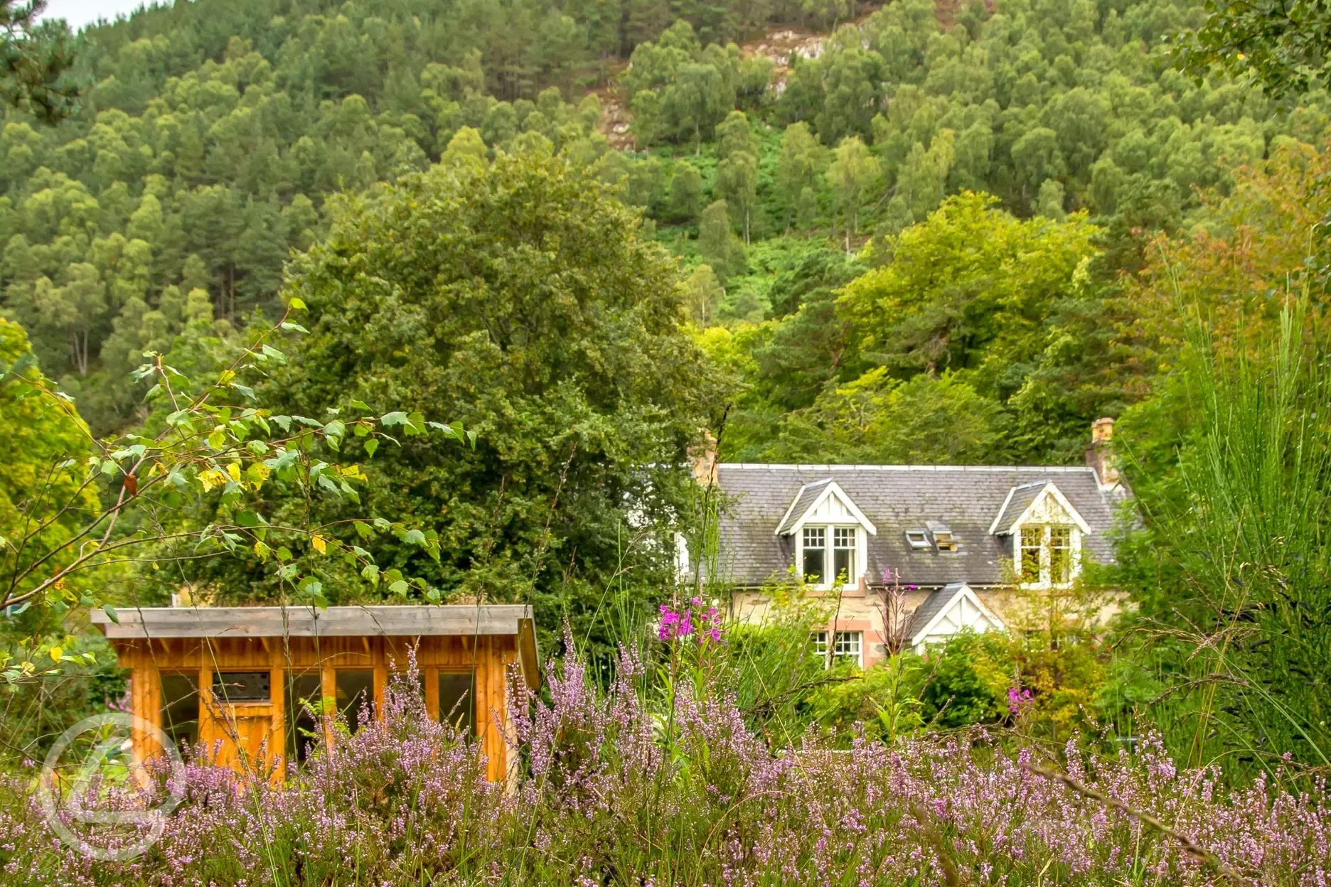 Wildflowers and the microlodge