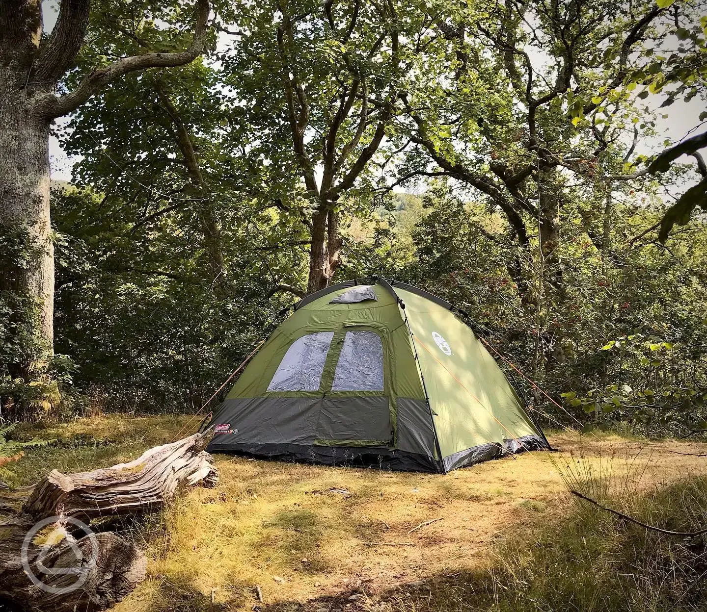 Non electric woodland tent pitch