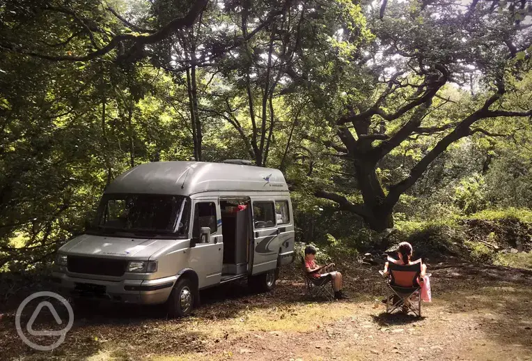 Wooded campervan pitch