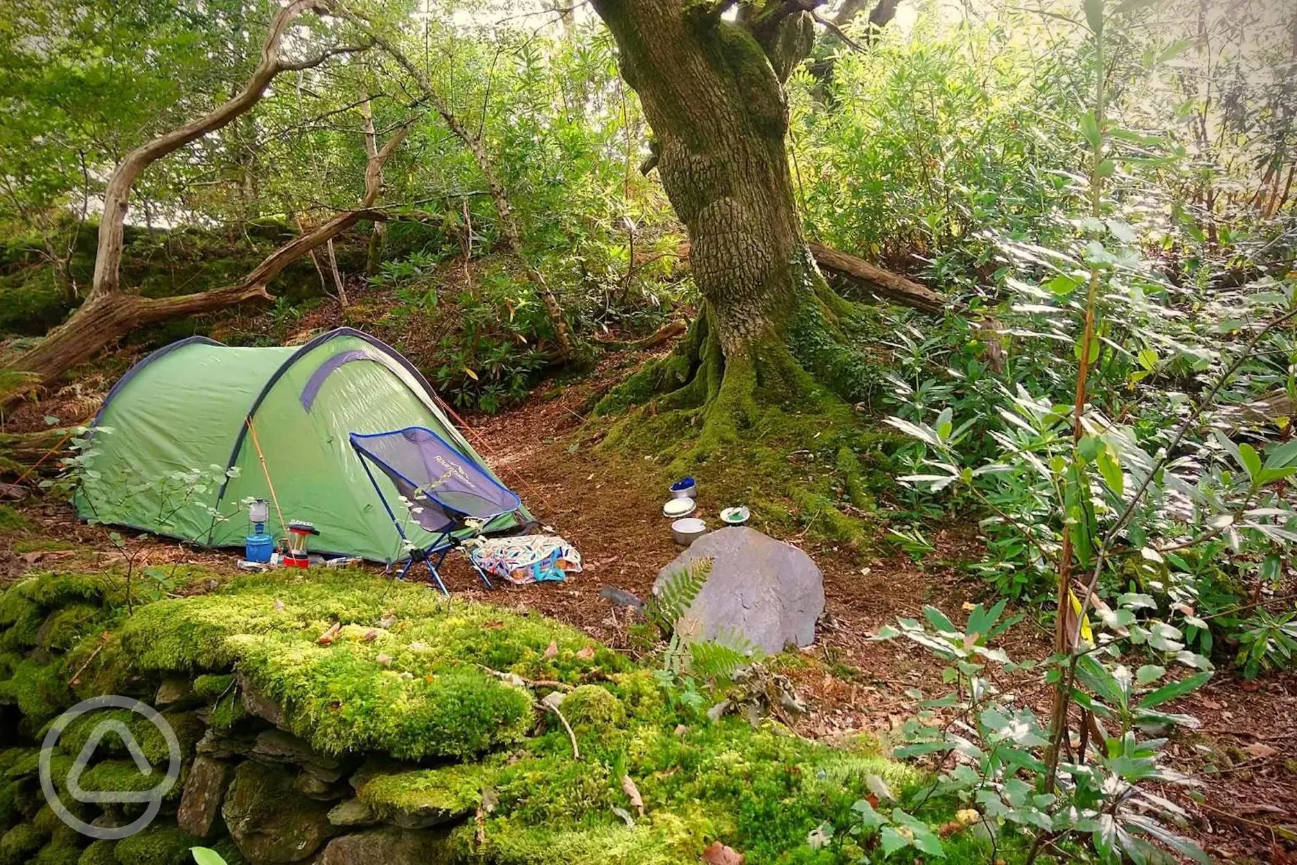 Non electric woodland tent in a secluded area, surrounded by trees