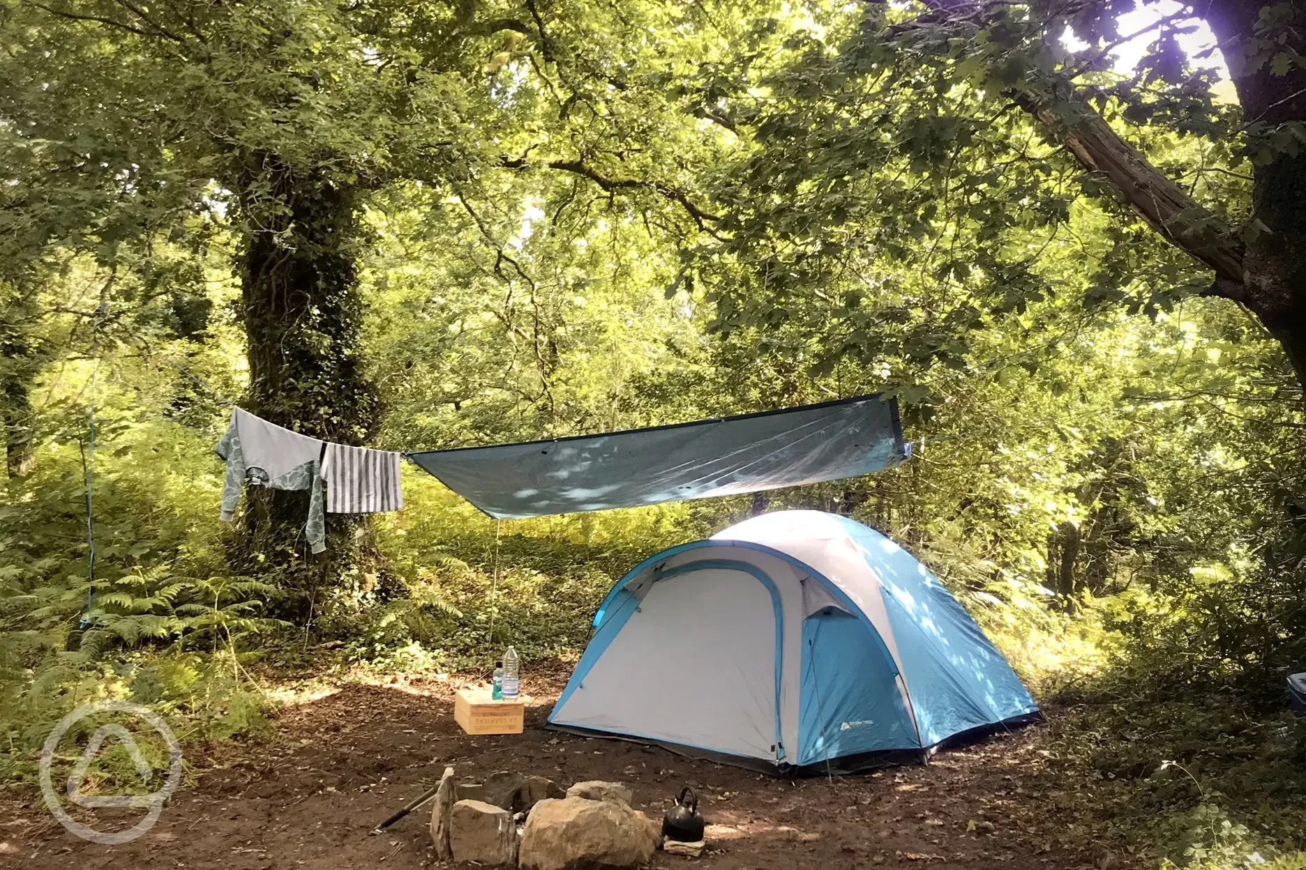 Non electric woodland tent pitch surrounded by trees