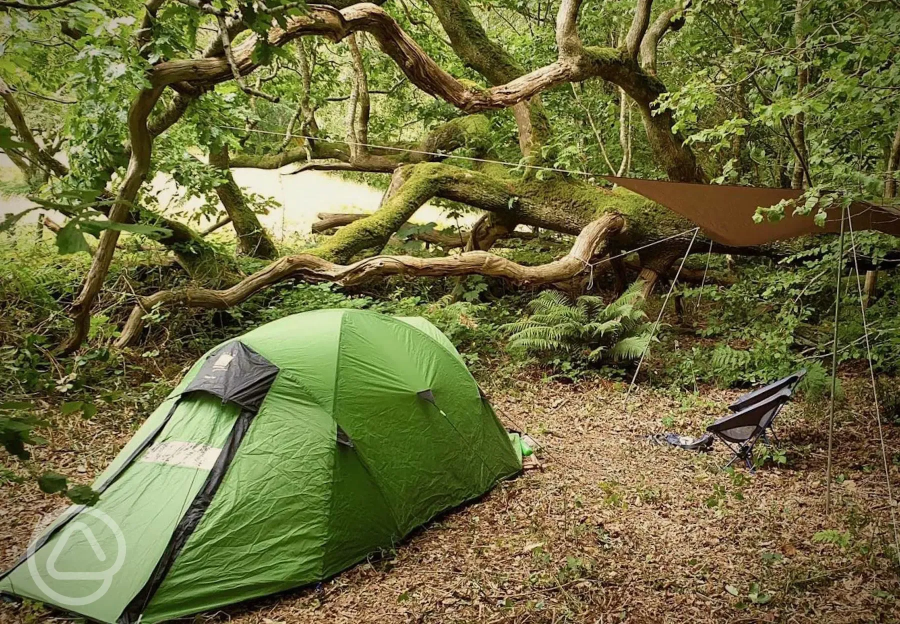Non electric woodland tent pitch beside a lake
