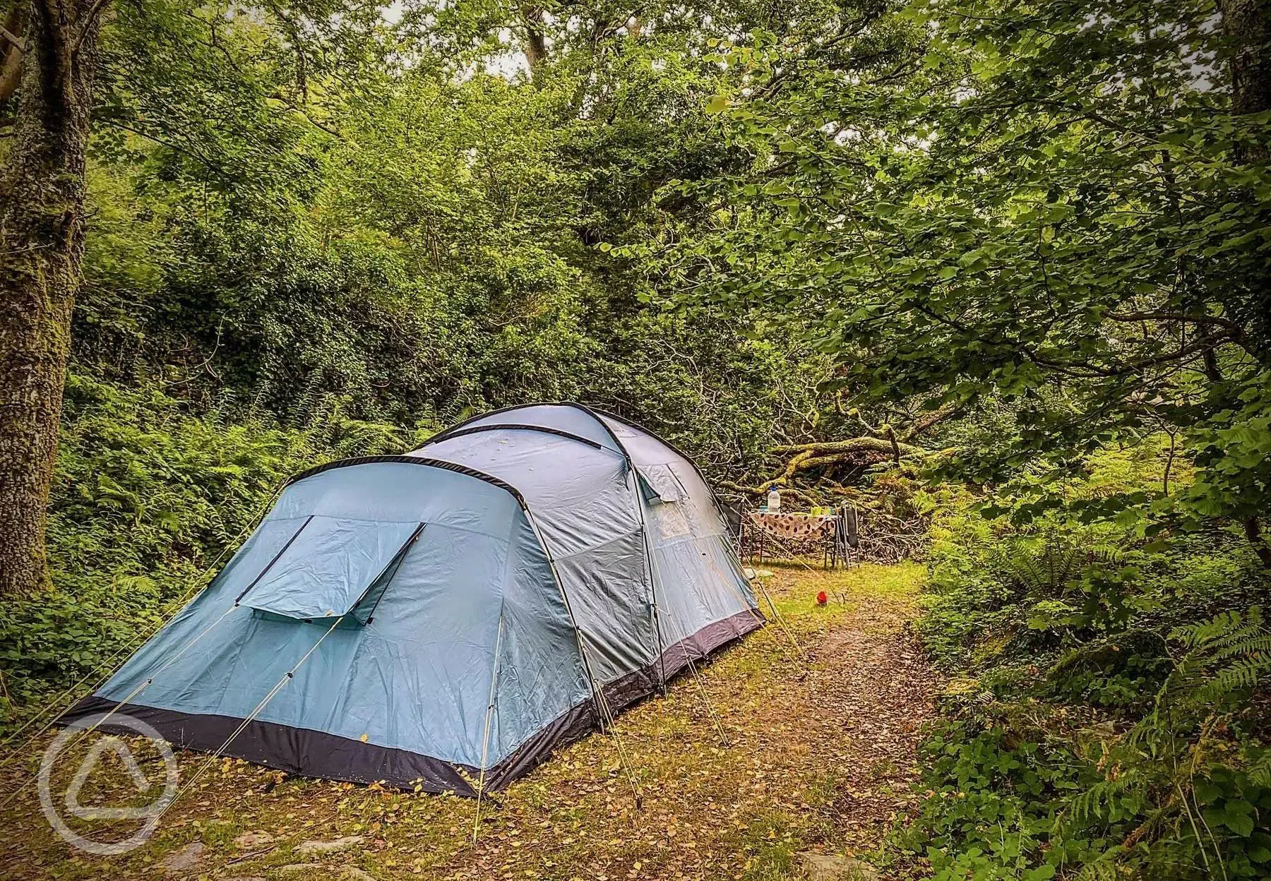 Large tent on a non electric woodland tent pitch