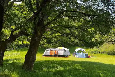 Non electric grass pitches 