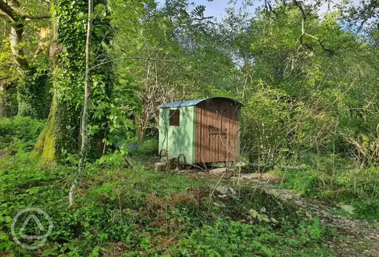 Woodmans shepherd's hut (sleeping two)