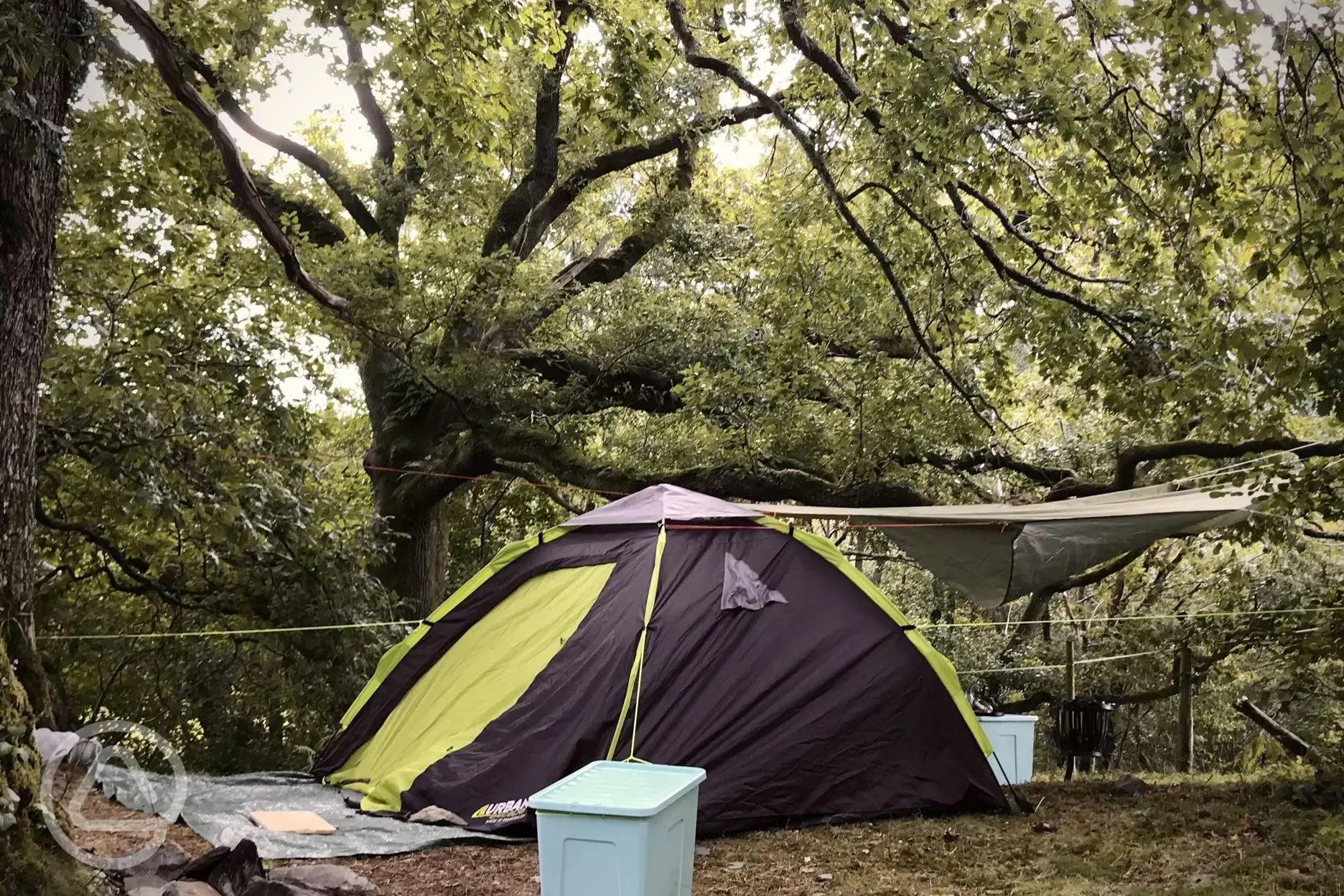 Non electric woodland tent pitch