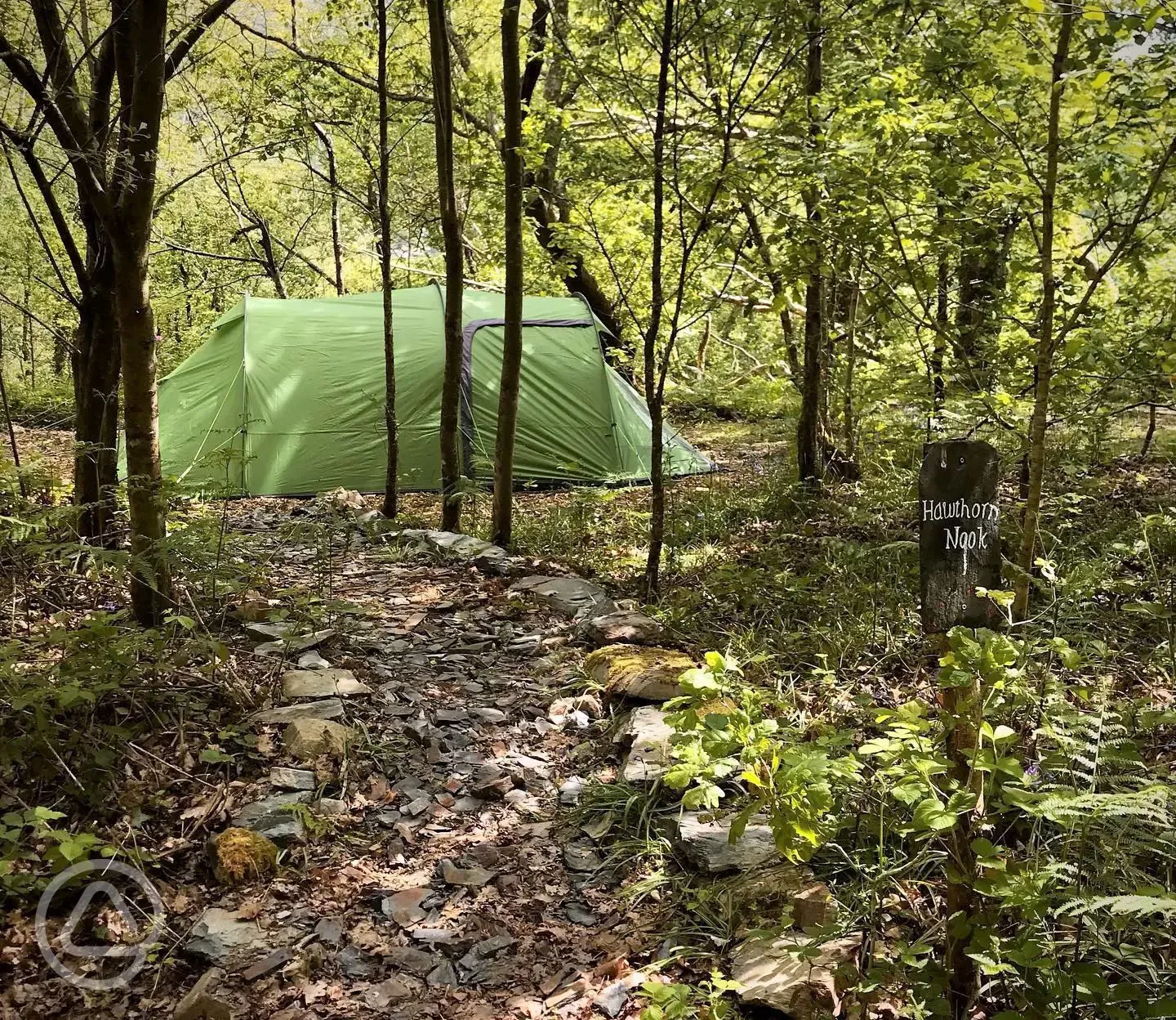 Non electric woodland tent pitch