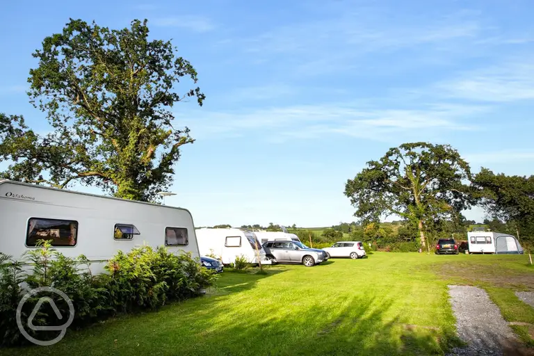 Towy Valley Caravan Park hardstanding and grass pitches with optional electric