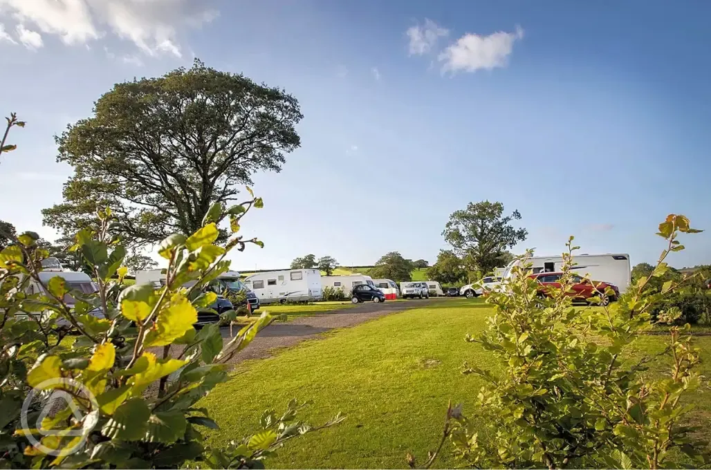 Optional electric grass and hardstanding pitches