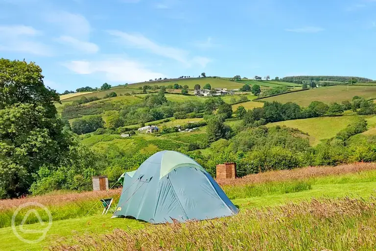 Tent pitch