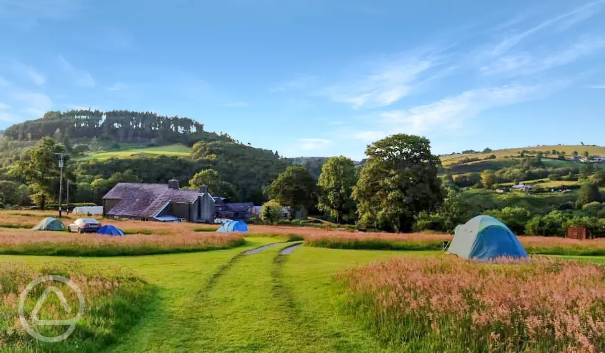 Non electric grass pitches