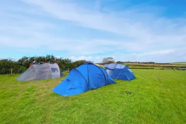 Large tents on grass pitches at Rainbolts Hill Farm