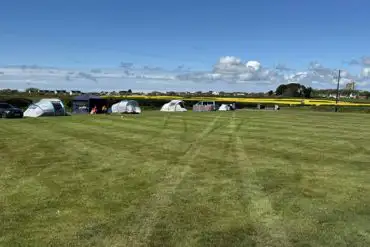 Grass pitches