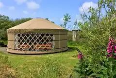 Bramble yurt