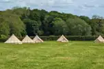 Bell tents and non electric grass pitches