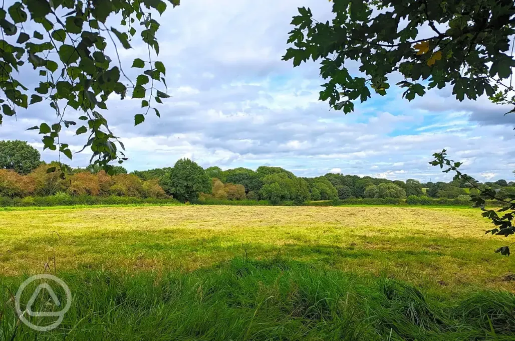 Grass pitches 