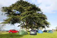 Non electric grass pitches (4m x 8m) for tents only