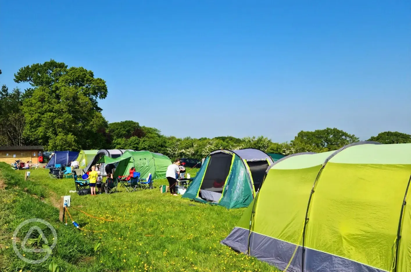 Electric grass pitches with 16 amp hook ups (for tents only)