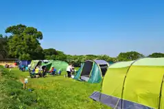 Electric grass pitches with 16 amp hook ups (for tents only)