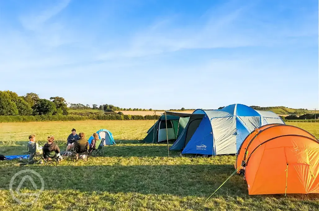 Non electric grass pitches