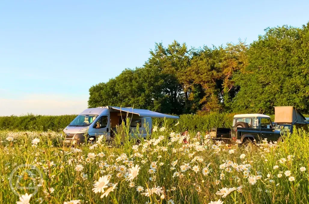 Non electric grass pitches in the meadow