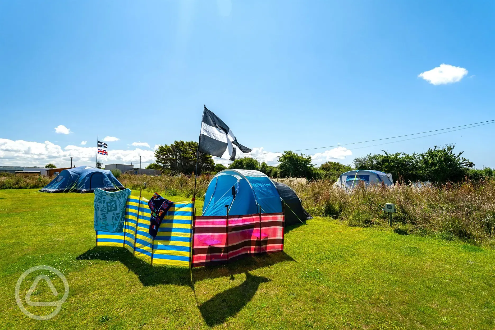 Electric grass tent pitches with a wind breaker and Cornish flag