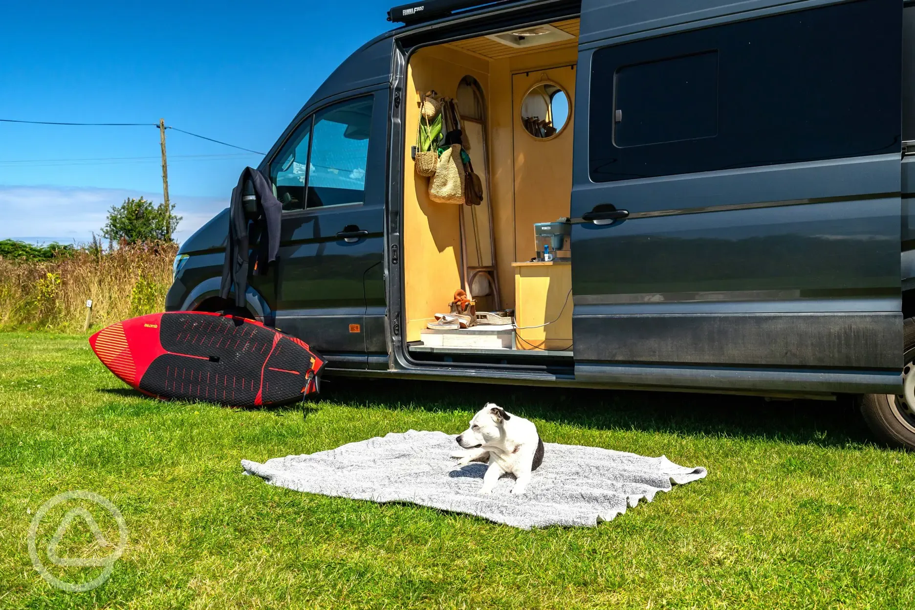 Dog friendly pitches
