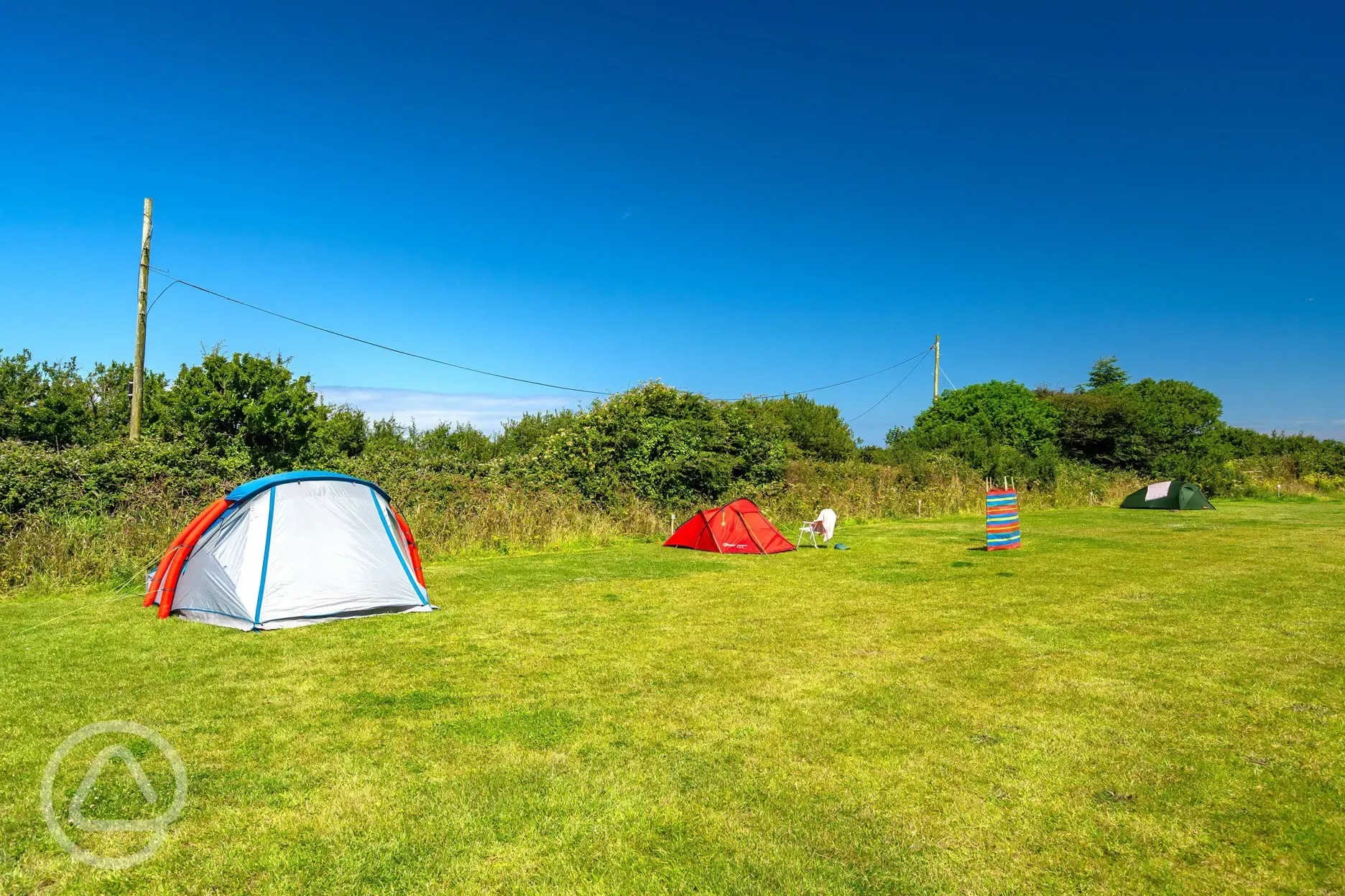 Non electric grass pitches backed by a hedge