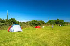 Non electric grass pitches backed by a hedge Non electric grass pitches backed by a hedge
