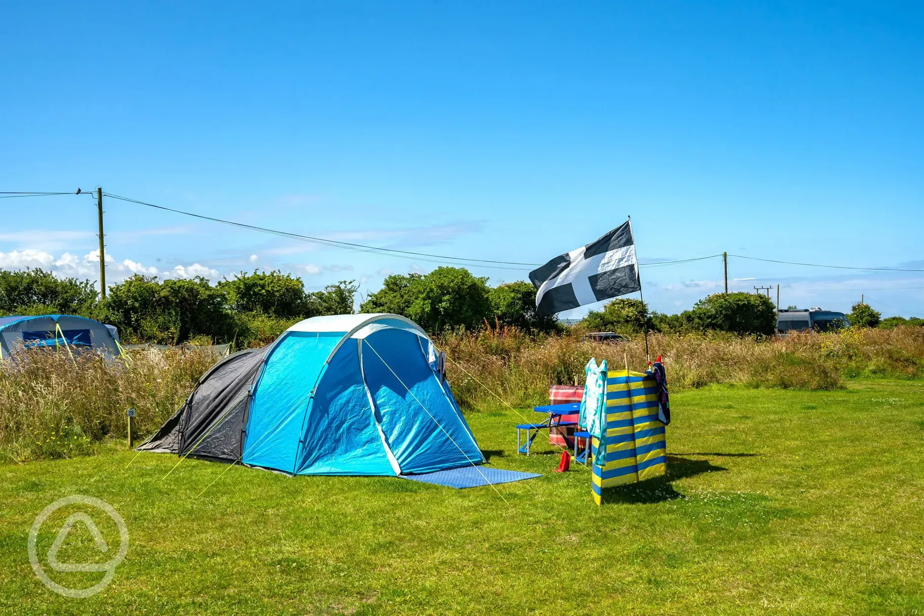 Electric grass pitches with hedging between rows
