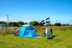 Electric grass pitches with hedging between rows Electric grass pitches with hedging between rows