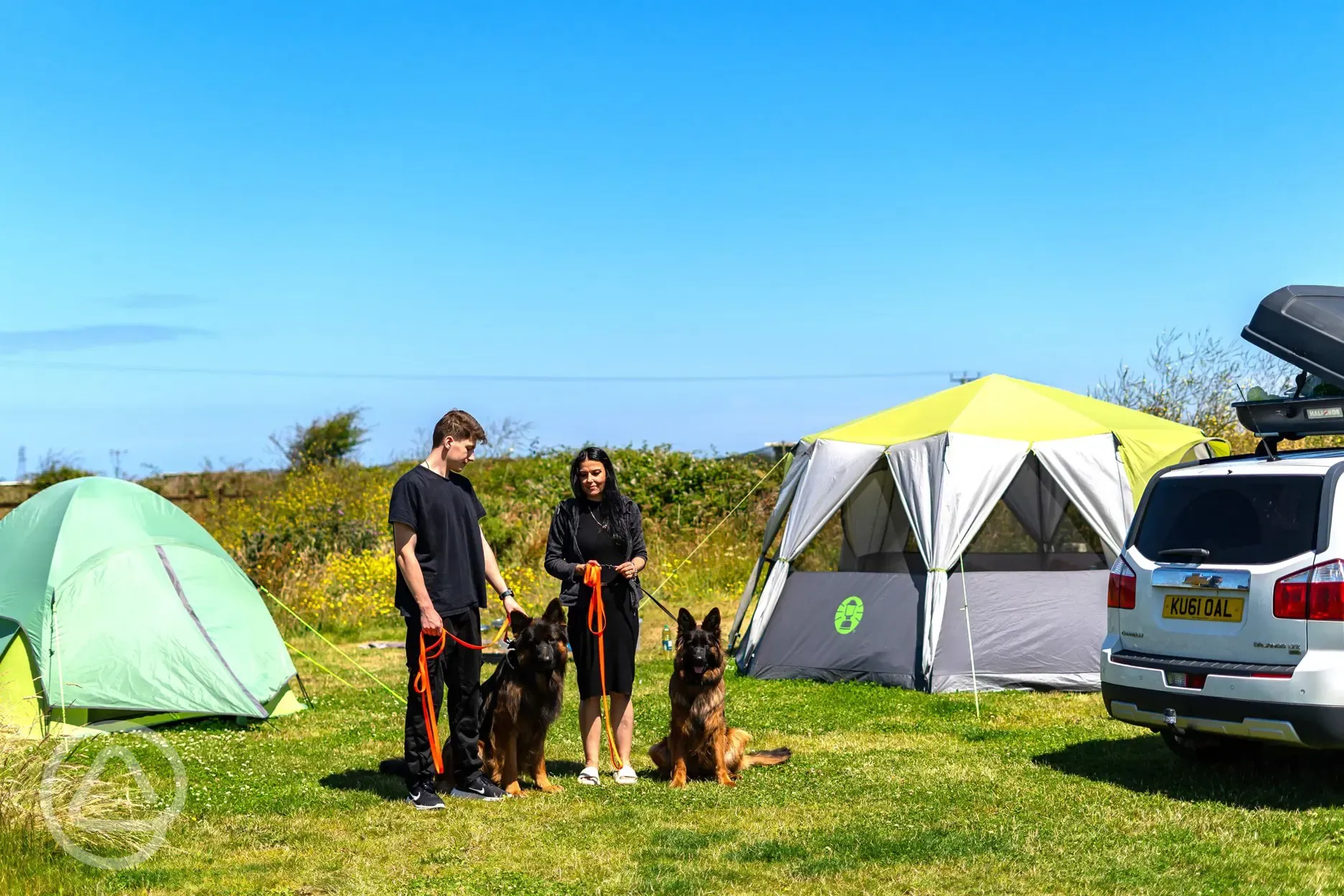 Dog friendly pitches
