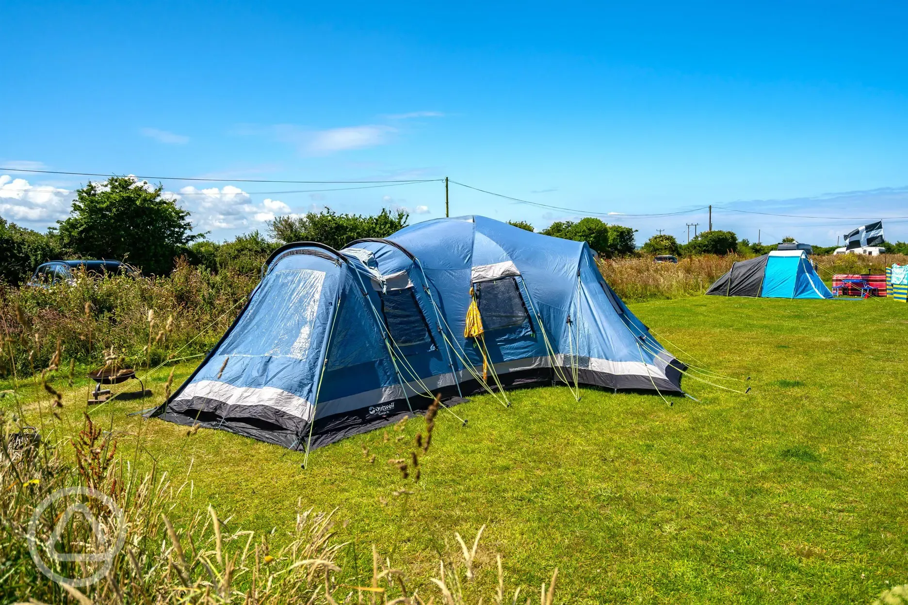 Electric grass pitches with hedging between rows