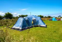 Electric grass pitches with hedging between rows Electric grass pitches with hedging between rows